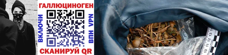 Галлюциногенные грибы Psilocybe  hydra ONION  Бирюсинск  купить закладку 